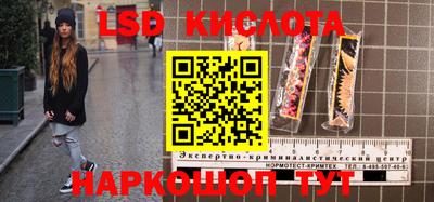 амф Новокубанск