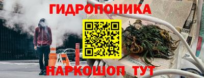 амф Новокубанск