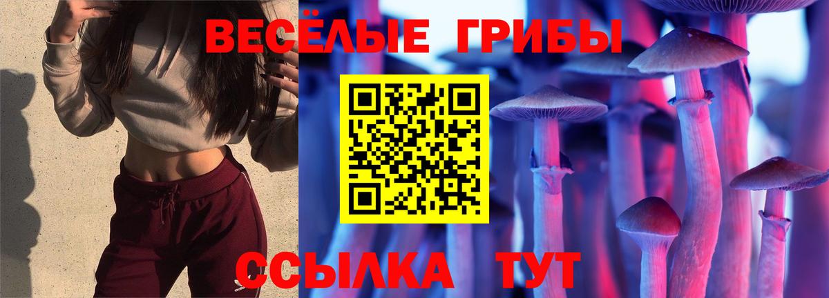 Псилоцибиновые грибы мицелий  Вход с VPN  Унеча 